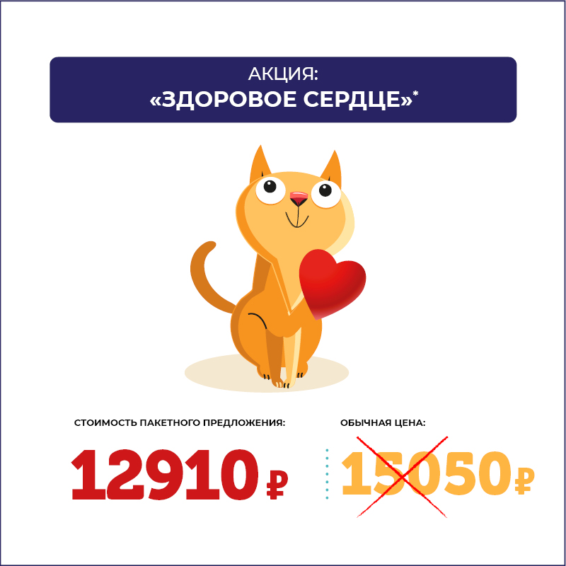 Проверьте сердце питомца со скидкой 14%. Программа «Здоровое сердце»