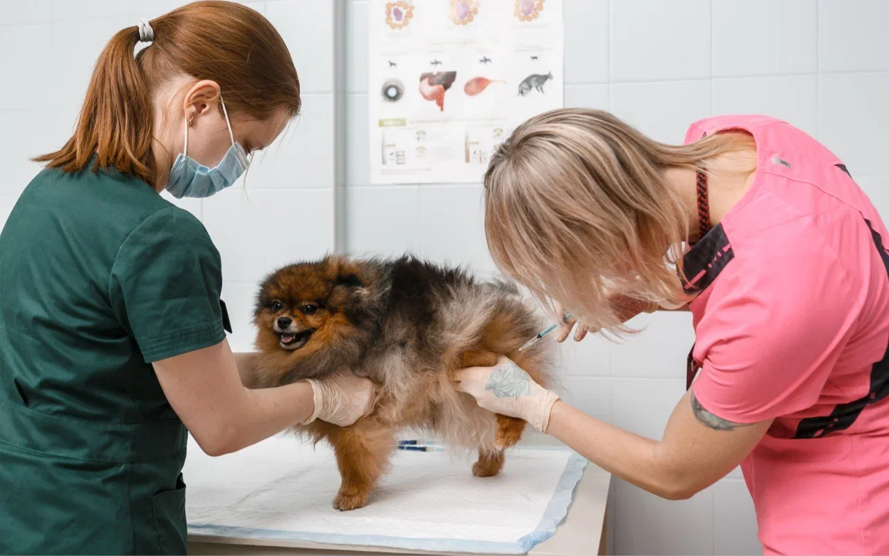 Памятка - после вакцинации