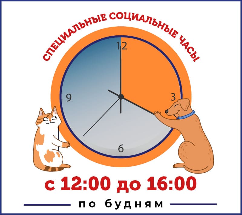 Акция: Социальные часы