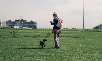 Зоопсихолог в ветеринарной клинике «в Добрые Руки»