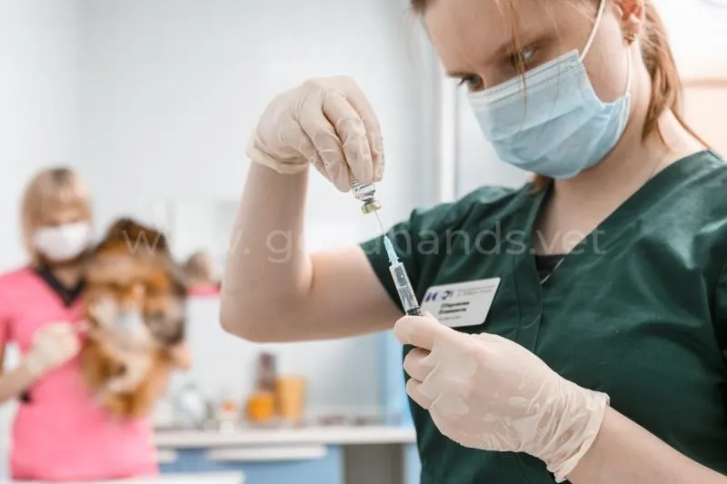 Клиника изнутри