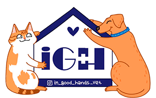 В добрые руки В добрые руки