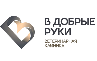 В добрые руки В добрые руки