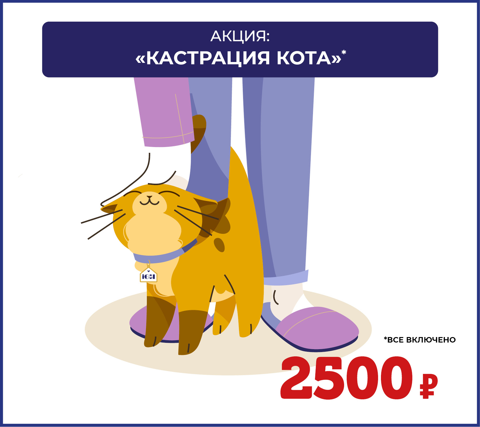 Акция: кастрация кота 2500 рублей Акция: кастрация кота 2500 рублей
