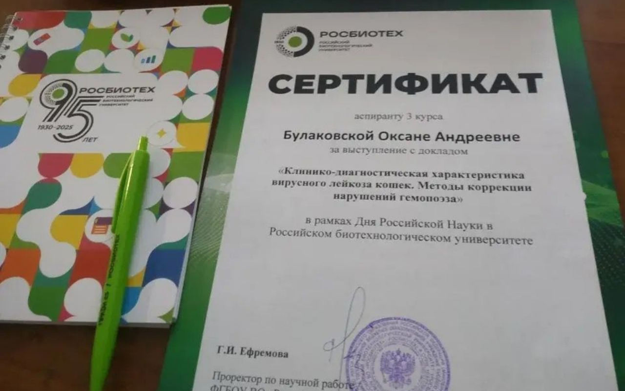 Новость булаковская2.png Новость булаковская2.png