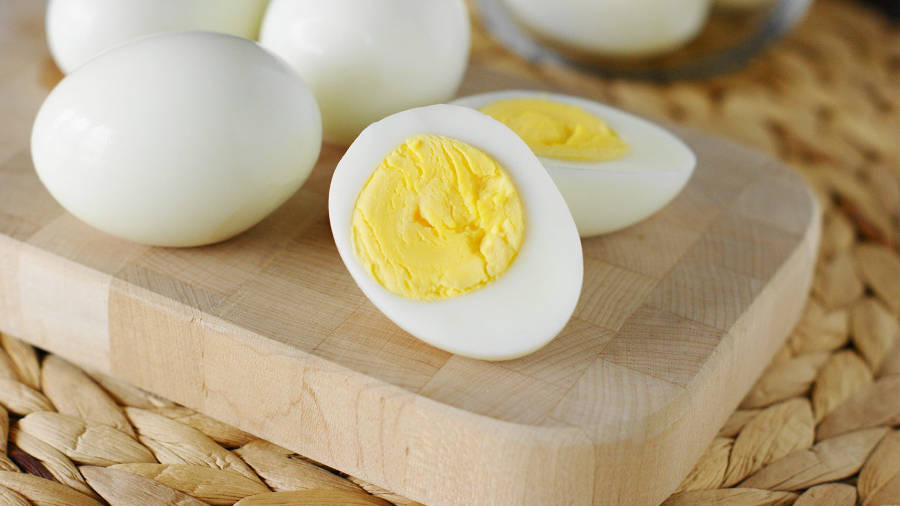 egg.jpg egg.jpg