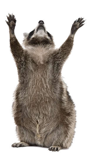 ветклиника ветклиника