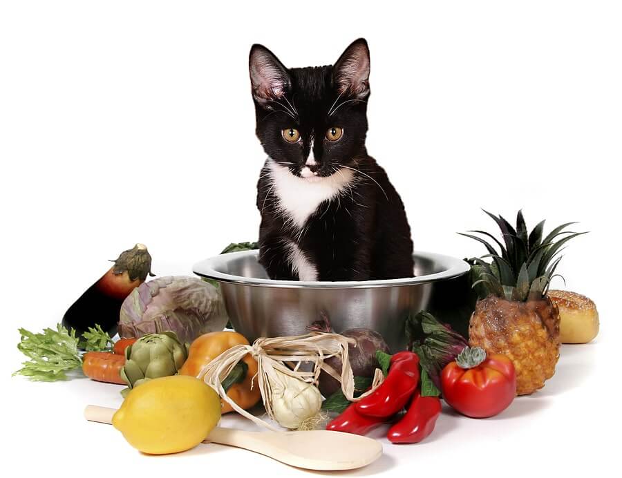 dieta.jpg