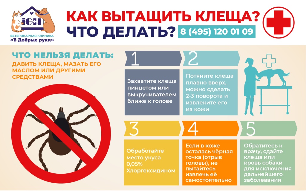 960x600_mite-01.jpg 960x600_mite-01.jpg