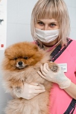 Соленкова Анастасия Алексеевна