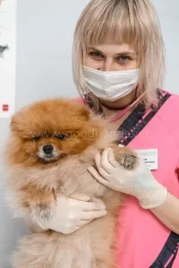 Соленкова Анастасия Алексеевна
