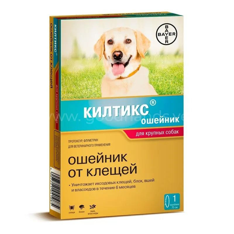 kiltix-65.jpg kiltix-65.jpg