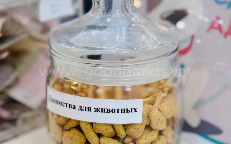 Лакомства для собак