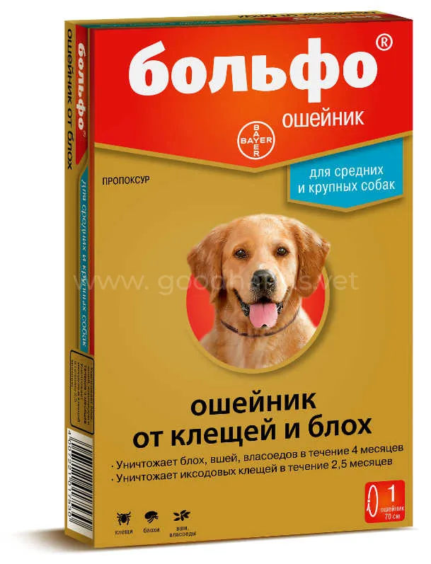больфо.jpg больфо.jpg